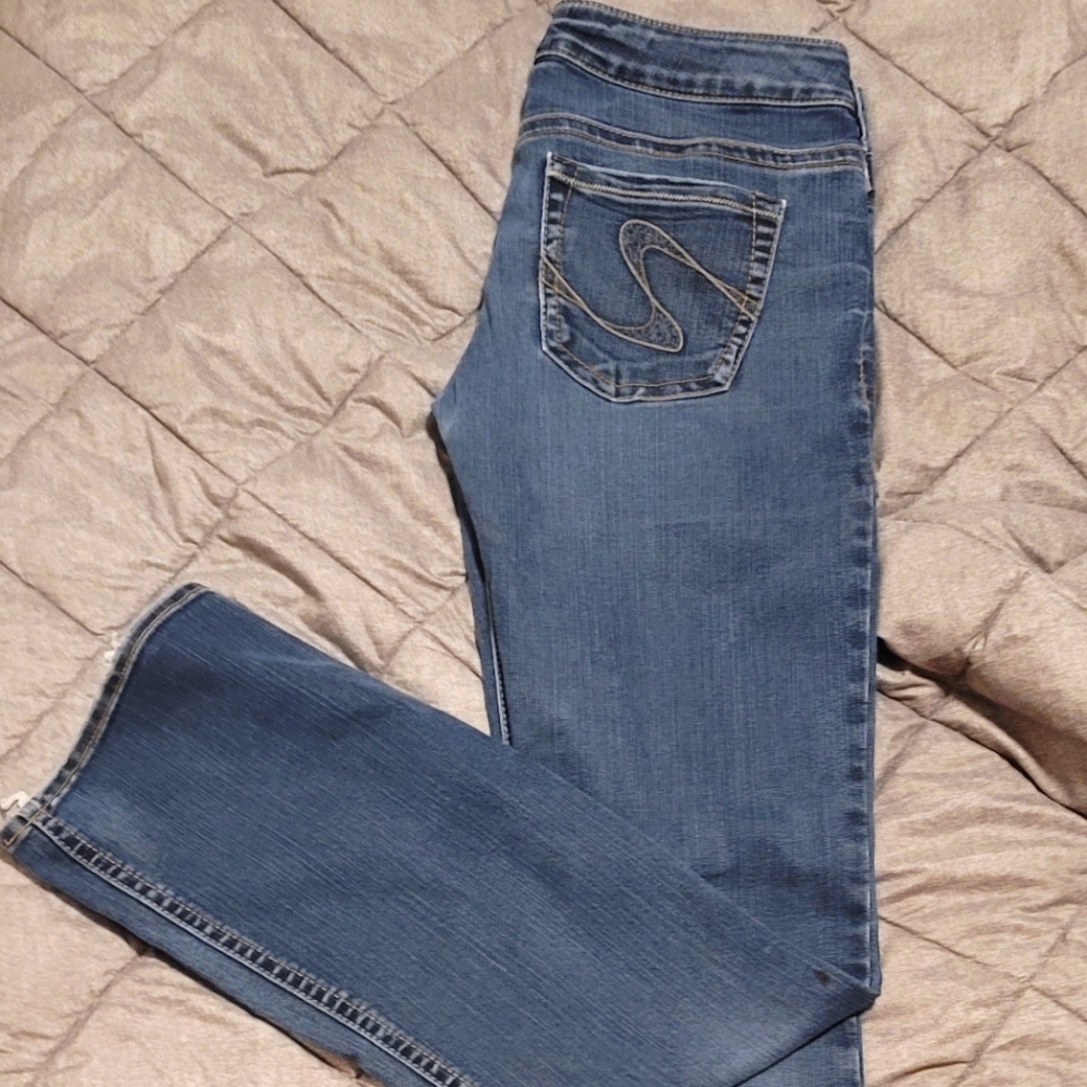 Sliver pants